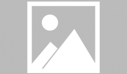 青青青免费视频,揭秘热门内容的魅力所在